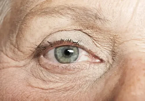 eye-med-landscape-84f1da7920e3eef27294052e87804ce3-